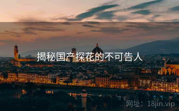 揭秘国产探花的不可告人