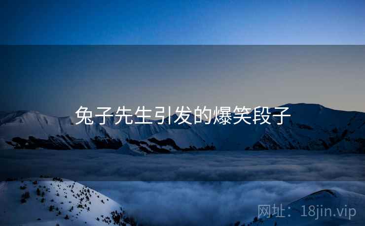 兔子先生引发的爆笑段子