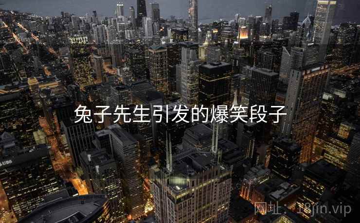兔子先生引发的爆笑段子