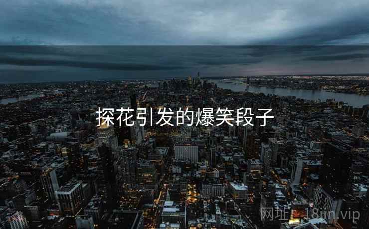 探花引发的爆笑段子