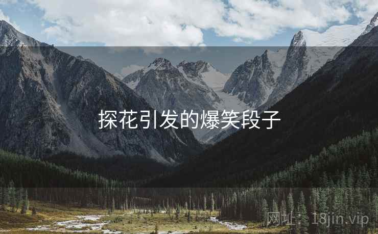 探花引发的爆笑段子