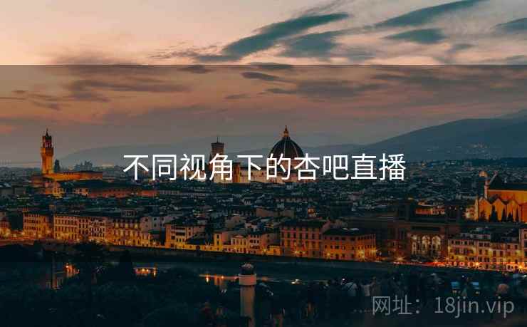 不同视角下的杏吧直播