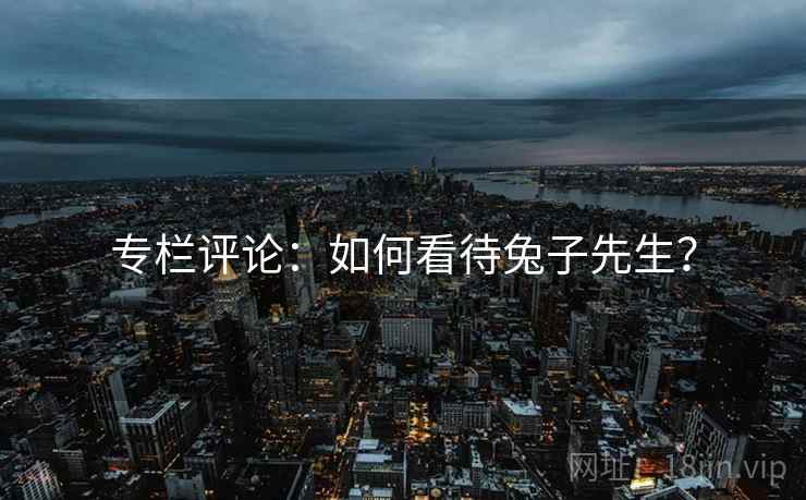 专栏评论：如何看待兔子先生？