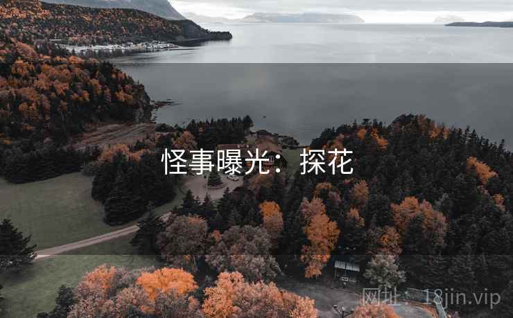 怪事曝光：探花