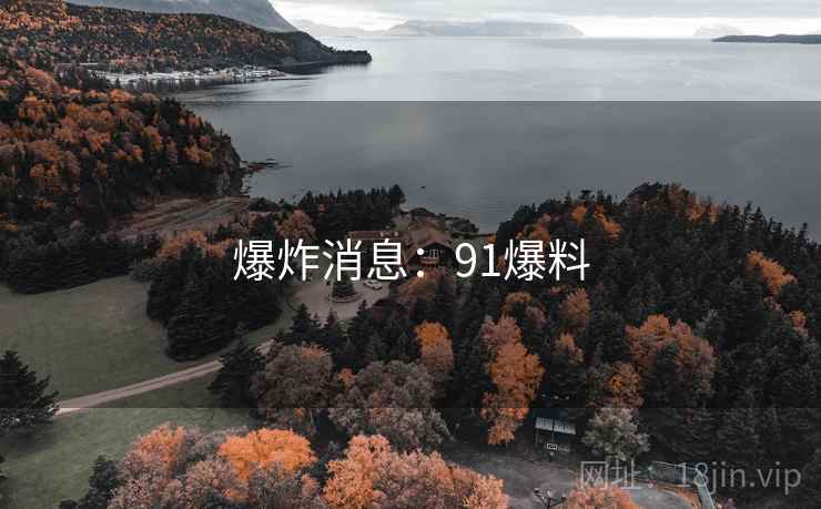 爆炸消息：91爆料