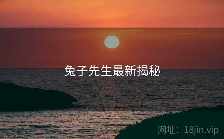兔子先生最新揭秘