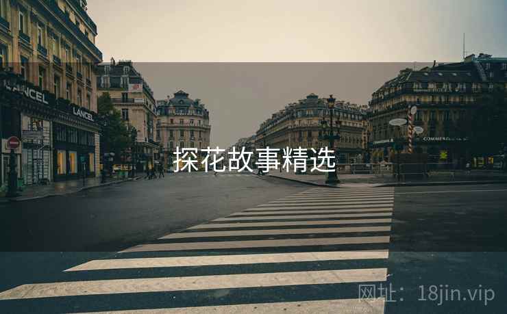 探花故事精选