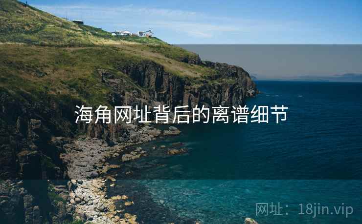海角网址背后的离谱细节