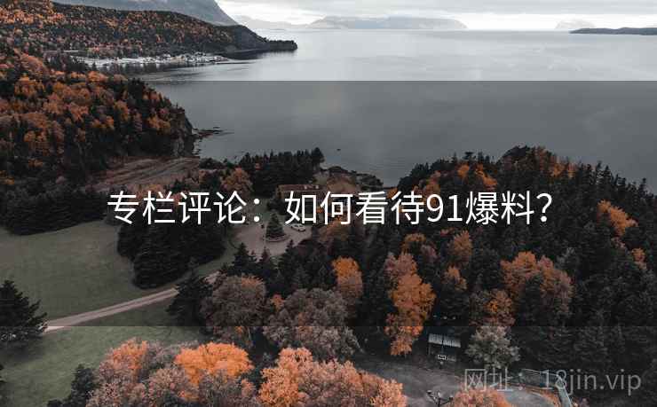 专栏评论：如何看待91爆料？