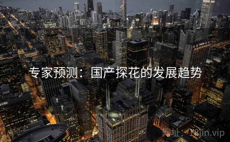 专家预测:国产探花的发展趋势 专家预测:国产探花的发展趋势