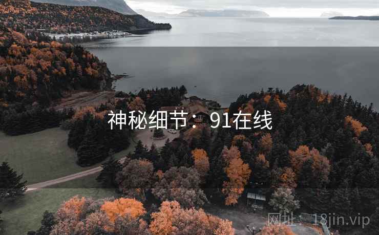 神秘细节:91在线 神秘细节:91在线