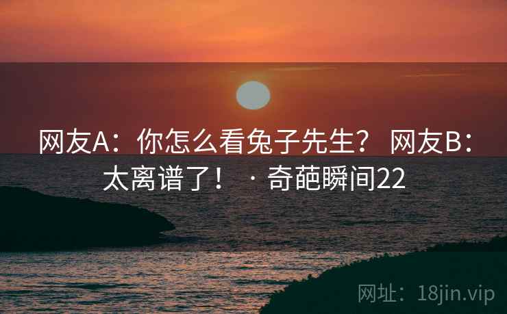 网友A:你怎么看兔子先生? 网友B:太离谱了! · 奇葩瞬间22 网友A:你怎么看兔子先生? 网友B:太离谱了! · 奇葩瞬间22