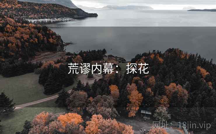 荒谬内幕:探花 荒谬内幕:探花