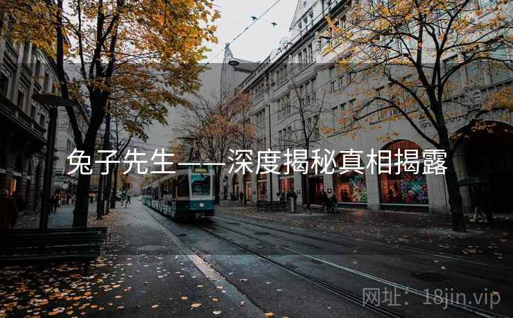 兔子先生——深度揭秘真相揭露